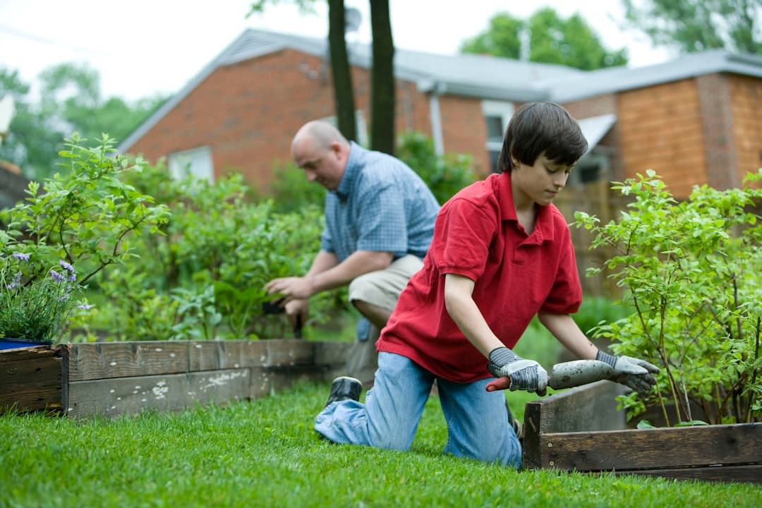 Photo Community garden